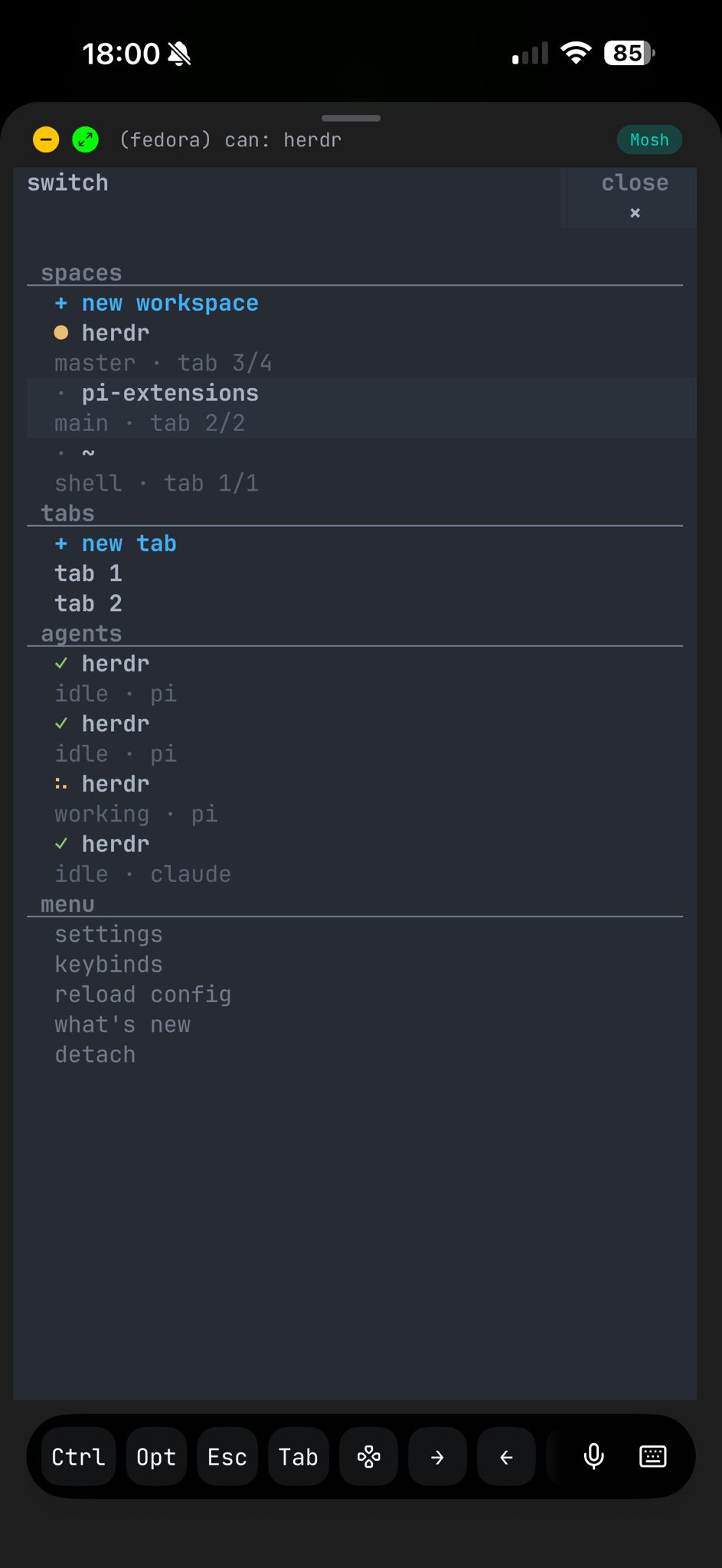 herdr mobile switcher showing spaces tabs and agents on a phone