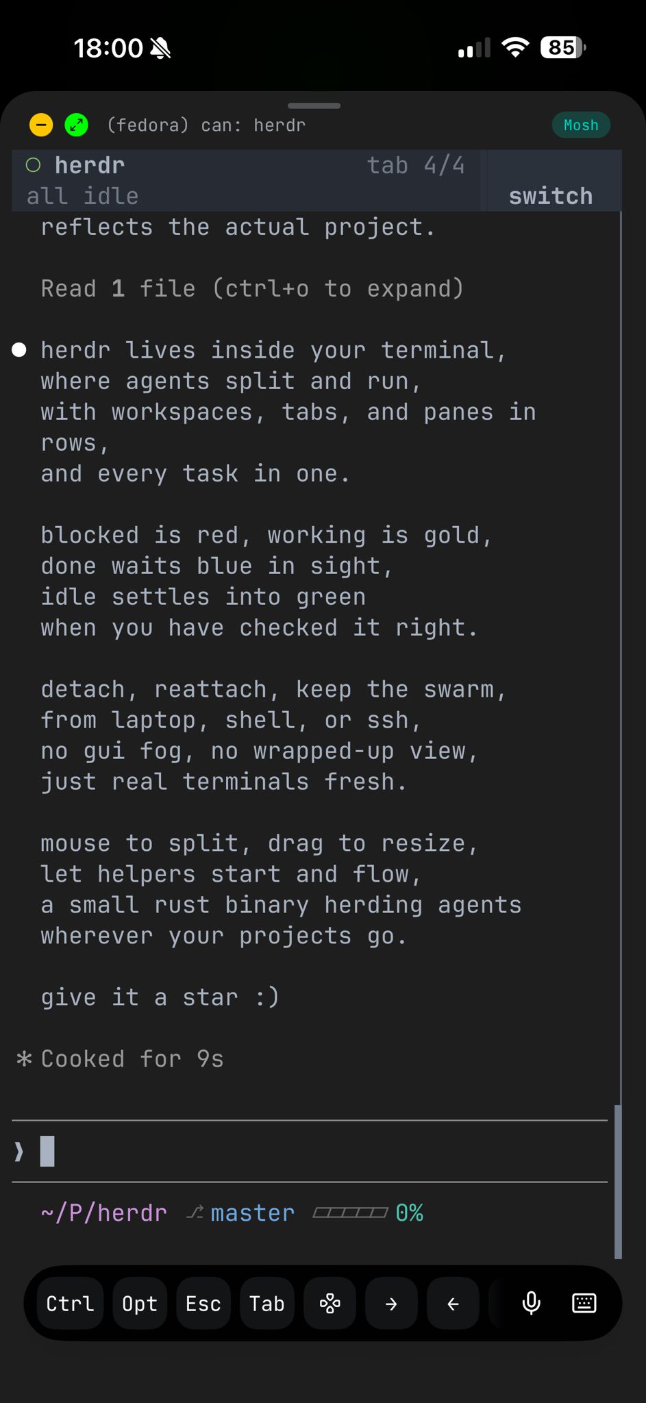 herdr responsive terminal view over ssh on a phone