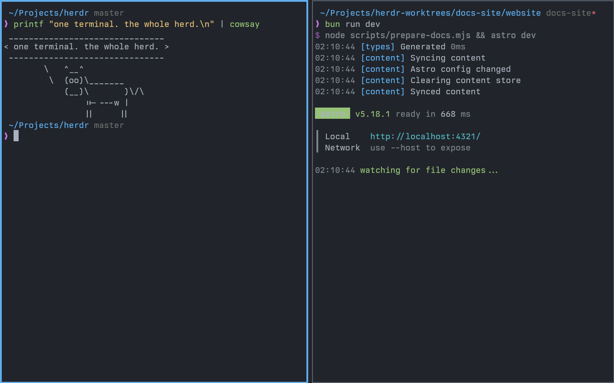 Herdr showing real terminal panes side by side